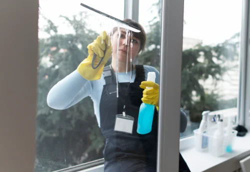Nettoyage de vitres intérieures et extérieures à Villieu-Loyes-Mollon
